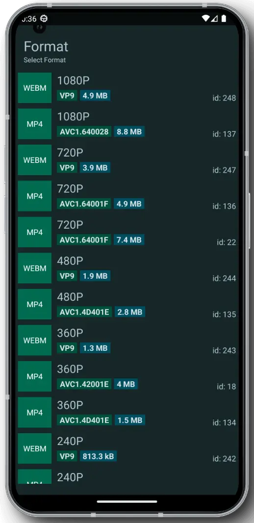 YTDLnis Downloader - screenshot 4