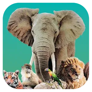 Ark Nova MOD APK icon