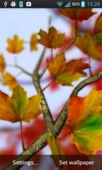 Autumn Leaves in HD Gyro 3D Parallax Wallpaper - screenshot 1