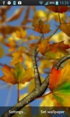 Autumn Leaves in HD Gyro 3D Parallax Wallpaper - screenshot 2