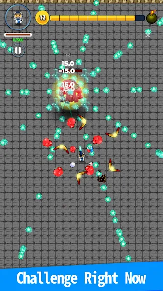 Survivor Shooter - screenshot 20