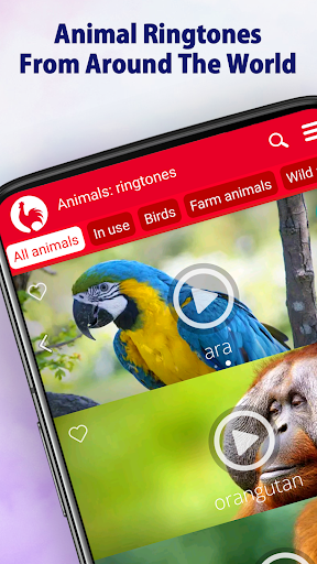 Animal Ringtones - screenshot 1