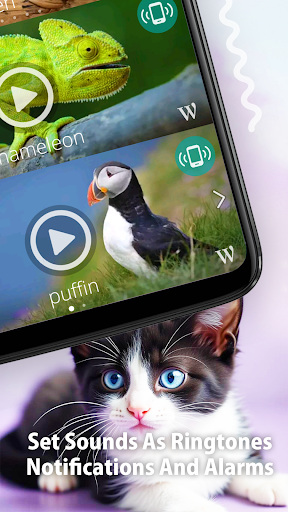 Animal Ringtones - screenshot 4