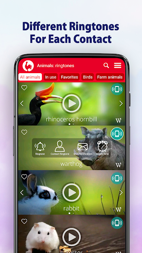 Animal Ringtones - screenshot 5