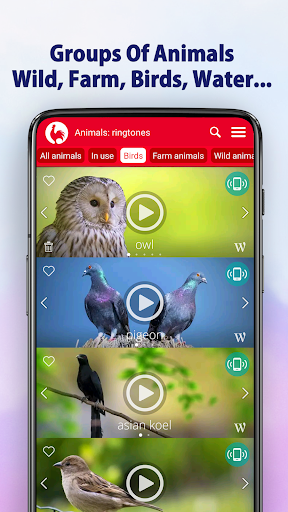 Animal Ringtones - screenshot 6