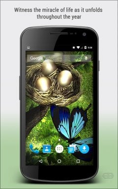 Season Zen HD - screenshot 1