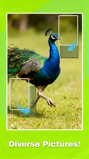 Jigscapes Puzzle APK 9 (Full Game) for Android - screenshot 1