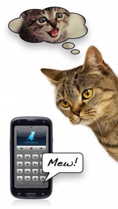 Human-to-Cat Translator - screenshot 1