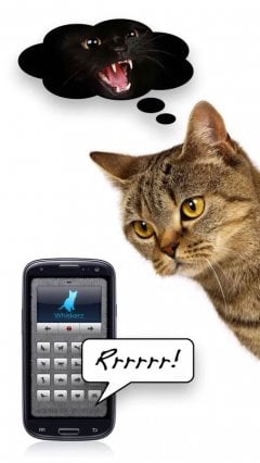 Human-to-Cat Translator - screenshot 2