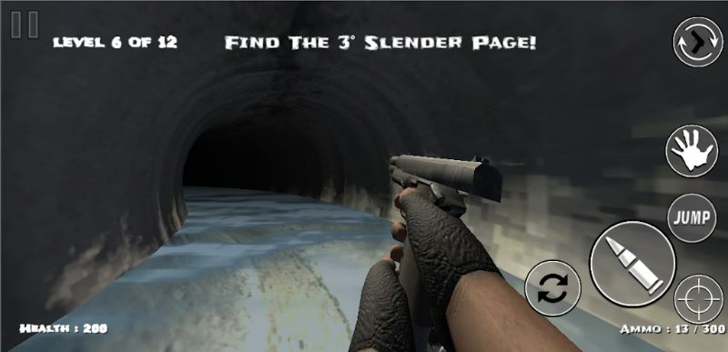 Slender Insane APK - screenshot 2