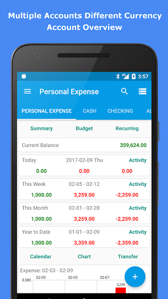 Expense Manager Pro - screenshot 1
