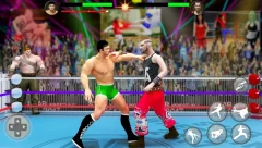 World Tag Team Wrestling Revolution Championship - screenshot 2