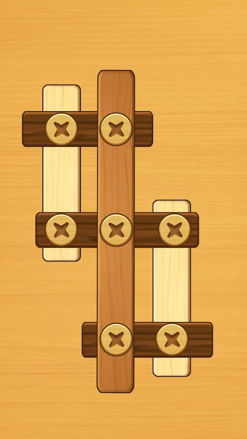 Screw Puzzle - screenshot 1