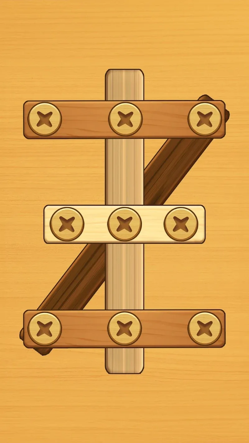 Screw Puzzle - screenshot 2