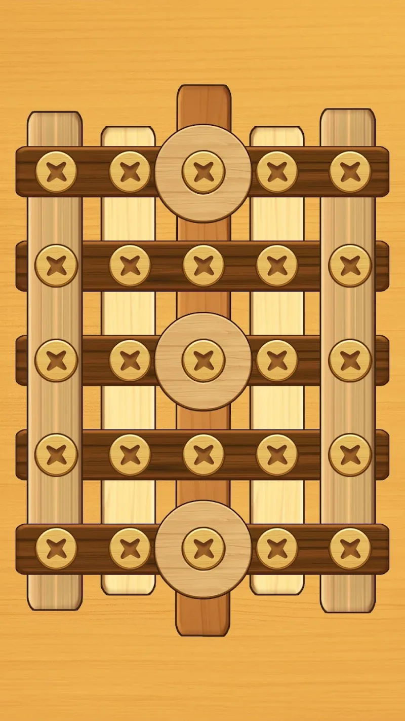 Screw Puzzle - screenshot 4