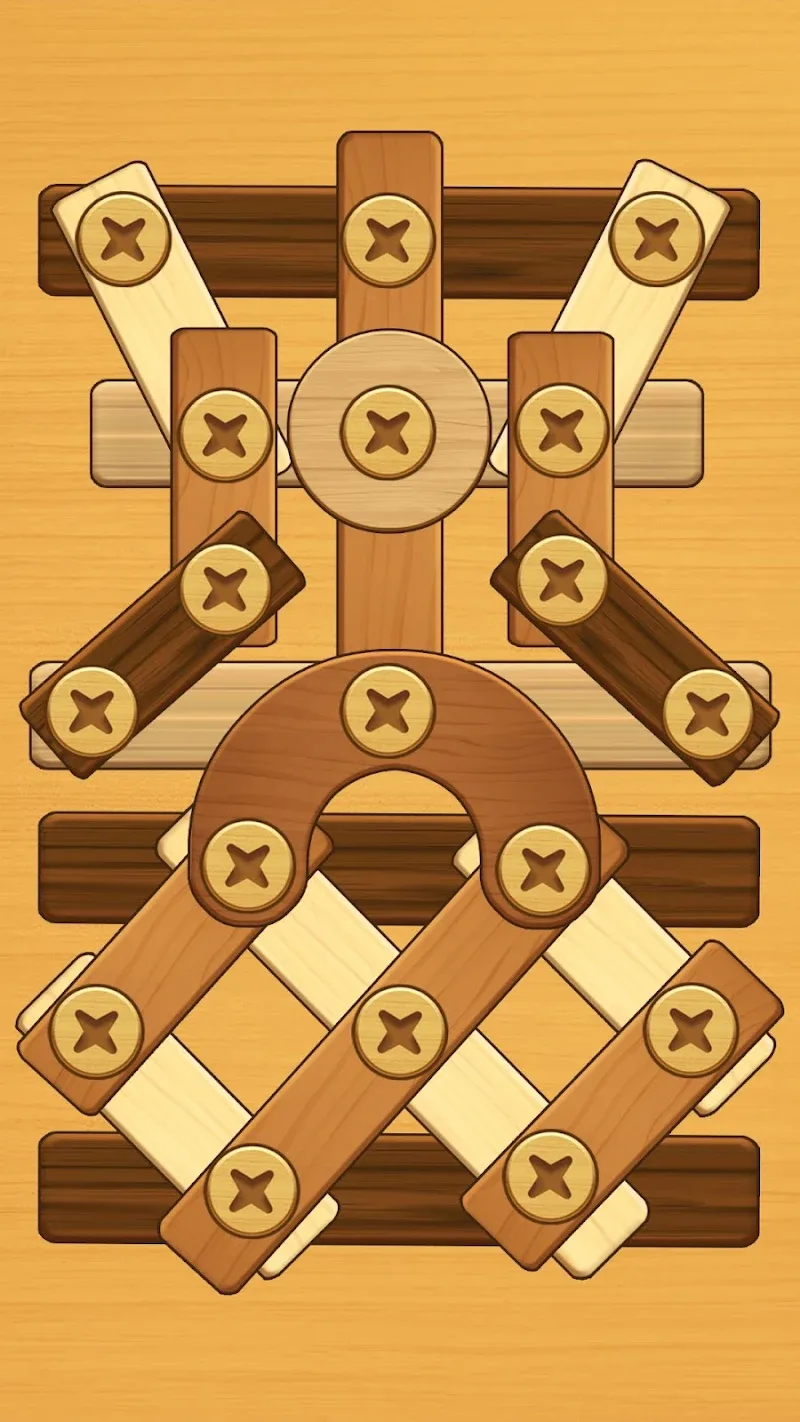 Screw Puzzle - screenshot 5