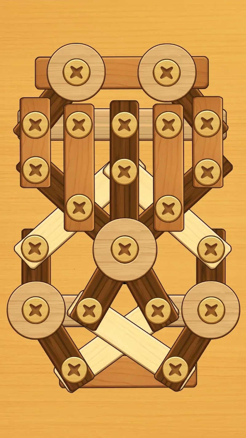 Screw Puzzle - screenshot 6