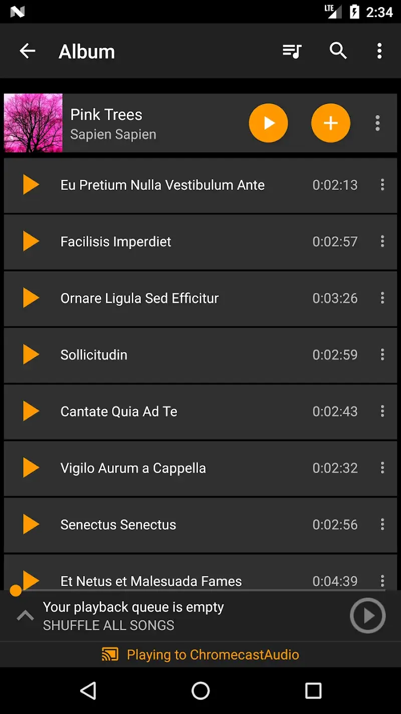 Hi-Fi Cast - Music Player - screenshot 3