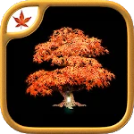 Fire Maple Games Collection MOD APK icon