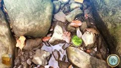 Thickety Creek - screenshot 3