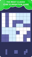 Block Puzzle Plus - Newest Brick Casual Game - screenshot 2