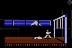 Karateka Classic - screenshot 3