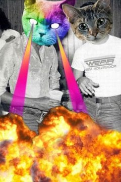 Catwang - screenshot 3