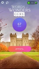 Words of Wonders: Guru - screenshot 4