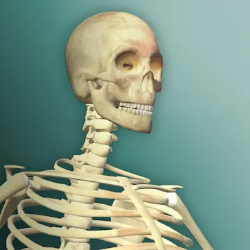 Idle Human 2 MOD APK icon