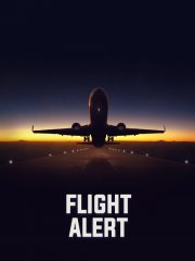 Flight Alert Simulator 3D - screenshot 4