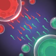 Coin Trip - screenshot 2