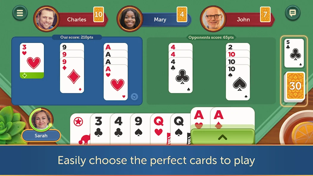Canasta - Fun & Friends - screenshot 2