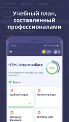 Mimo: Learn coding in JavaScript, Python and HTML - screenshot 4