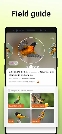 Picture Bird - screenshot 4
