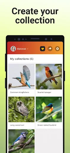 Picture Bird - screenshot 6