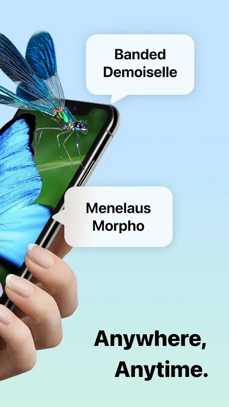 Picture Insect Bug Identifier - screenshot 2