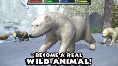 Ultimate Arctic Simulator - screenshot 1