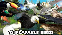 Ultimate Bird Simulator - screenshot 1