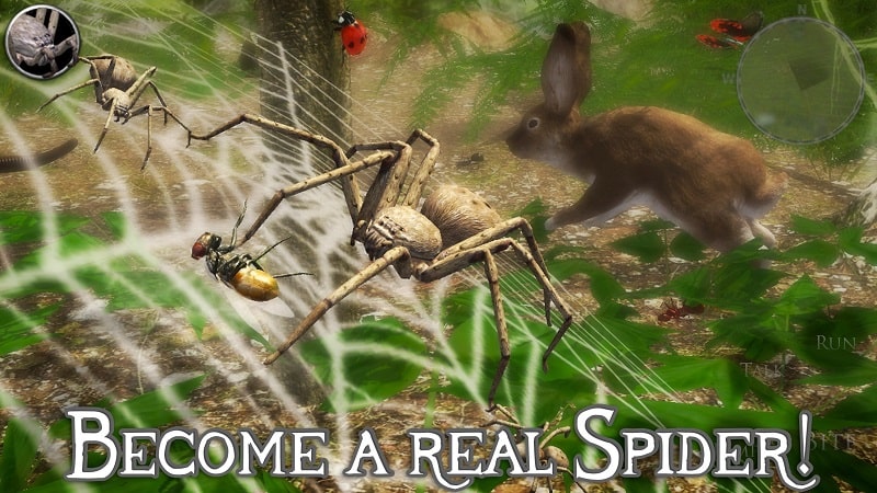 Ultimate Spider Simulator 2 APK - app icon
