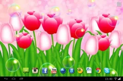 Flowers Tulips Live Wallpaper - screenshot 2