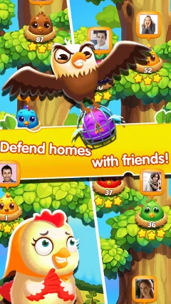 Chicken Splash 2 - Collect Eggs & Feed Babies - screenshot 1