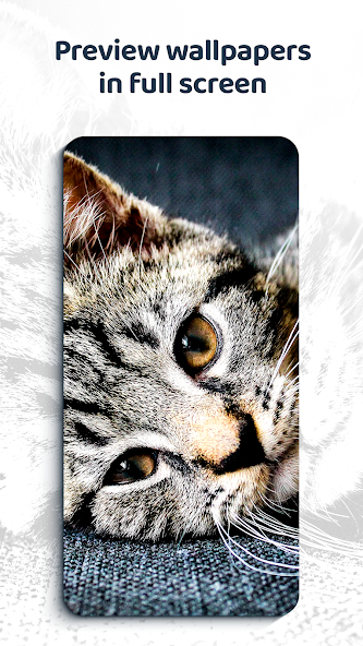 Beautiful Wallpapers 4K - screenshot 18