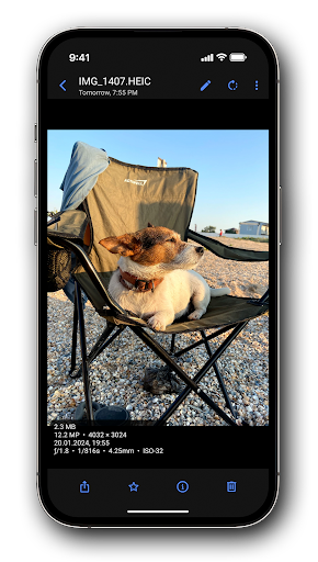 Right Gallery - screenshot 4