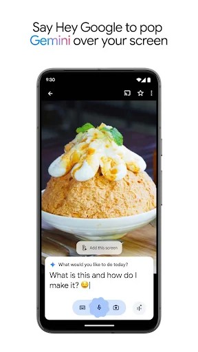 Google Gemini APK 1.0.869192867 (Latest Version) for Android - screenshot 6