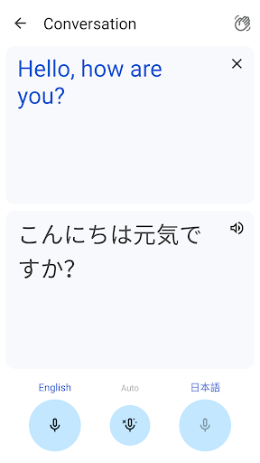 Google Translate - screenshot 5