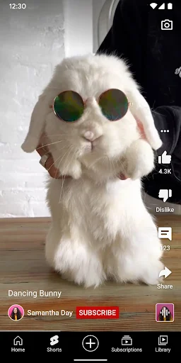 YouTube APK 21.09.266 (Latest Version) for Android - screenshot 2