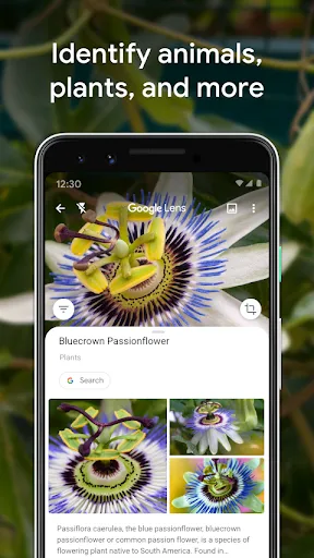 Google Lens APK 1.14.220323009 for Android - screenshot 2
