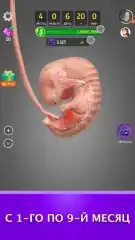 Idle 9 Months - screenshot 2