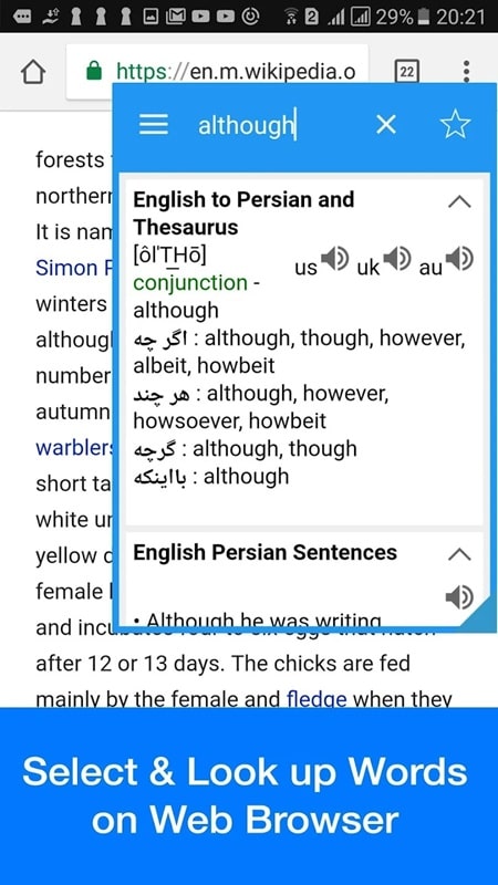 Dict Box APK - screenshot 3