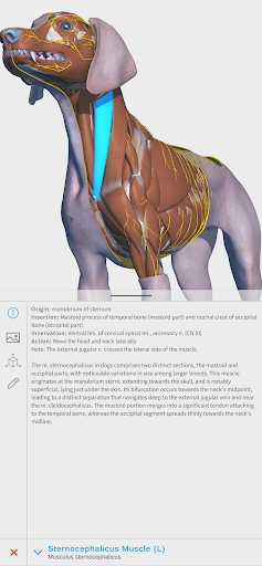 Complete Canine 3D - screenshot 1